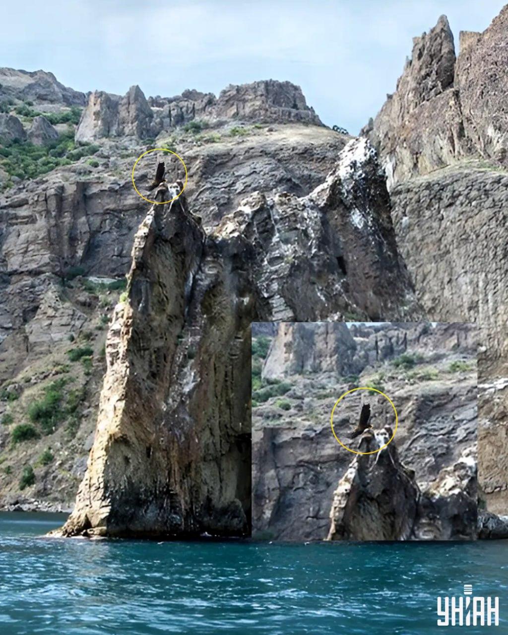 Paukštis yra ant vienos iš uolos viršūnių / koliažas su Mes nuotr.